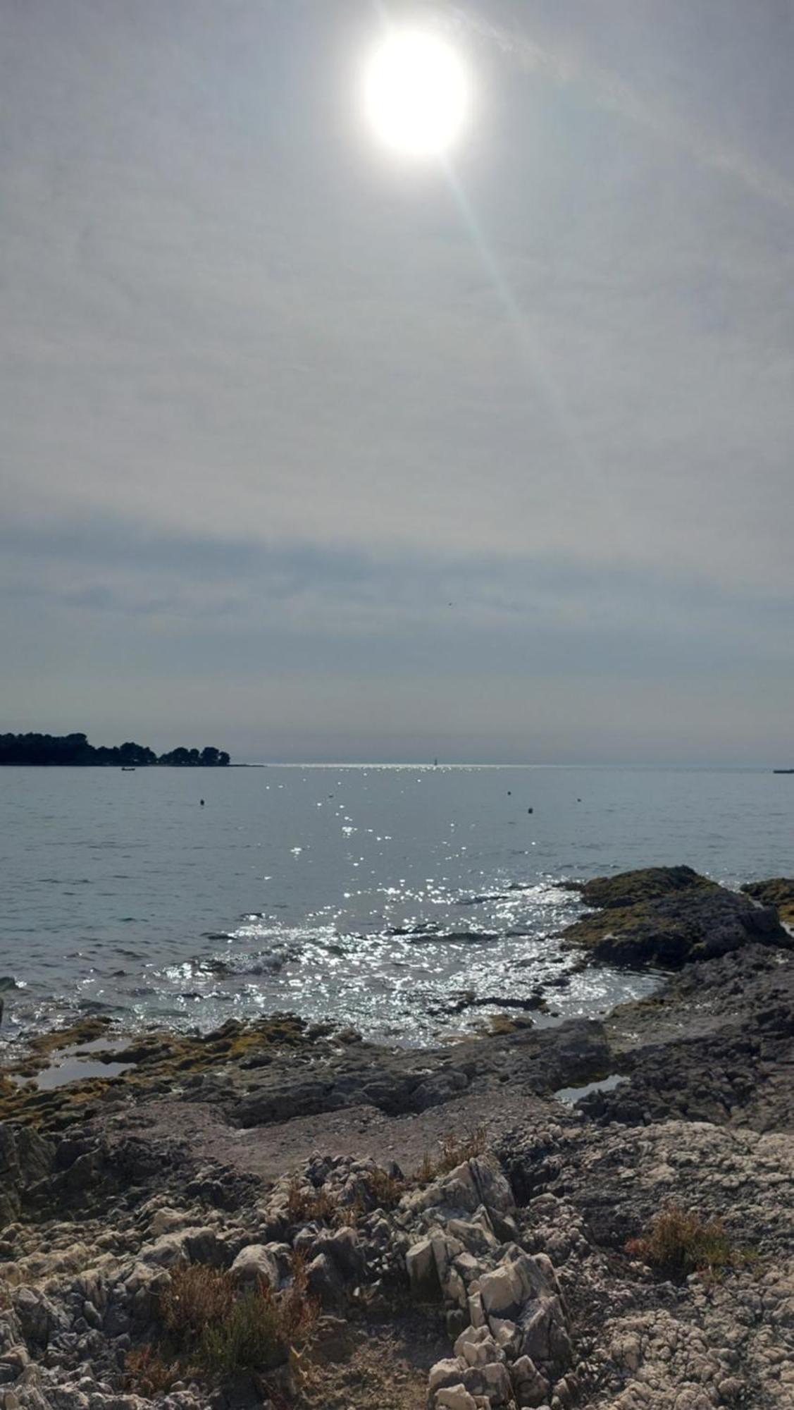 Sweet Lejlighed Rovinj Eksteriør billede